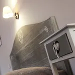 Il Senesino 4*